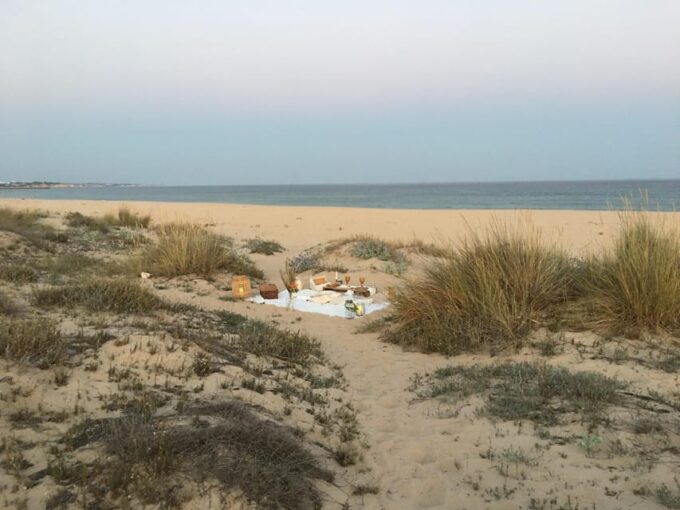 Lagos : Amazing Sunset Picnic at Beach - Booking and Cancellation