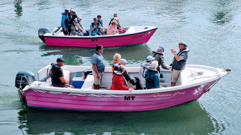 Lagos: Boat Trip to Grottos of Ponta Da Piedade and Caves - Experience Highlights