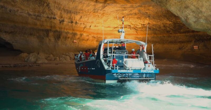 Lagos: Dolphin Watching & Benagil Tour W/ Marine Biologist - Experience Highlights