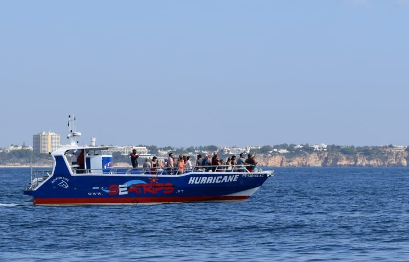 Lagos: Dolphin Watching & Benagil Tour W/ Marine Biologist - Important Information