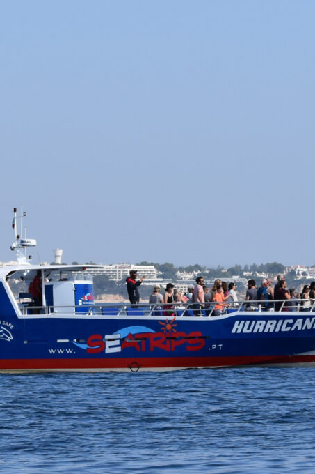 Lagos: Dolphin Watching & Benagil Tour W/ Marine Biologist - Meeting Point and Check-in