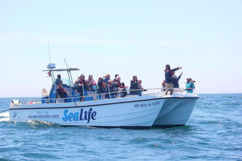 Lagos: Dolphin Watching Boat Tour With Marine Biologists - Experience and Highlights