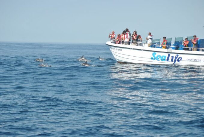 Lagos: Dolphin Watching Boat Tour With Marine Biologists - Exploring the Algarve Coast