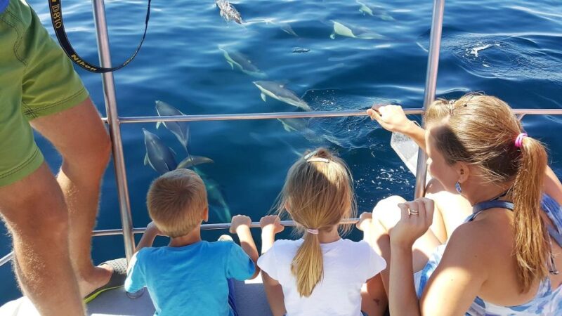 Lagos: Dolphin Watching Catamaran Cruise - Dolphin Watching Highlights