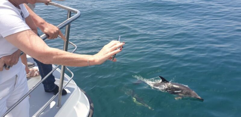 Lagos: Dolphin Watching Catamaran Cruise - Catamaran Features and Amenities