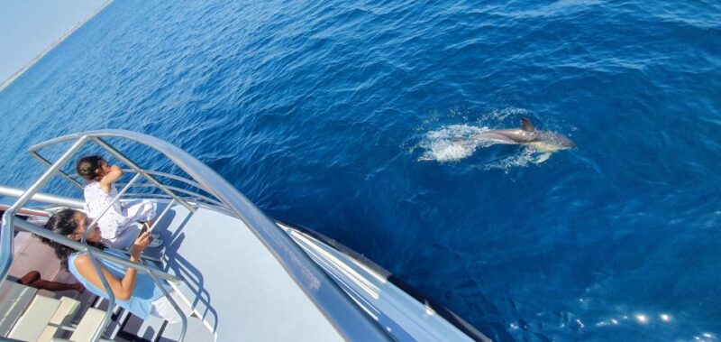 Lagos: Dolphin Watching Catamaran Cruise - Language Support and Commentary