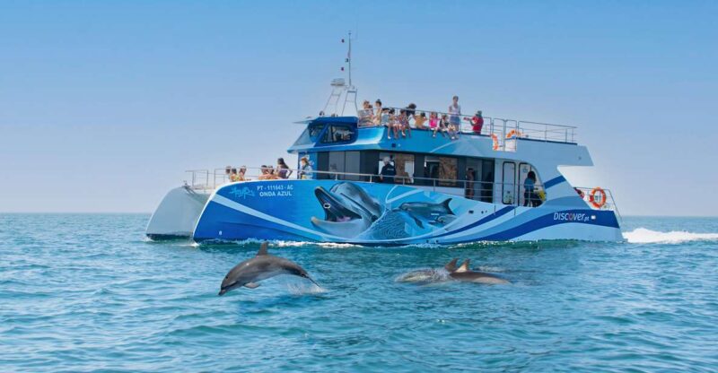 Lagos: Dolphin Watching Half-Day Cruise & Water Activities - Highlights of the Experience
