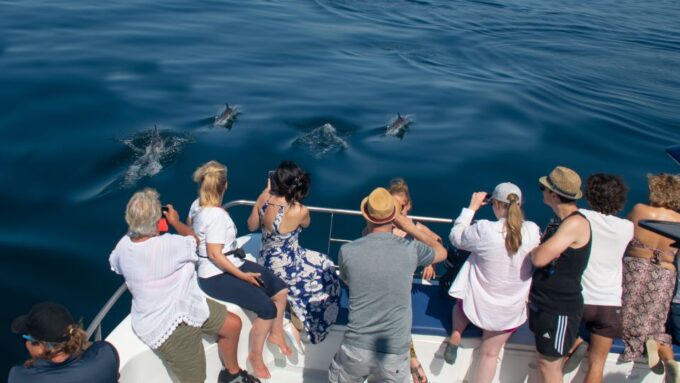 Lagos: Dolphin Watching Half-Day Cruise & Water Activities - Dolphin Watching Cruise Details