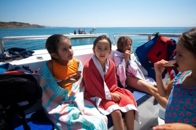Lagos: Dolphin Watching Half-Day Cruise & Water Activities - Water Activities and Amenities