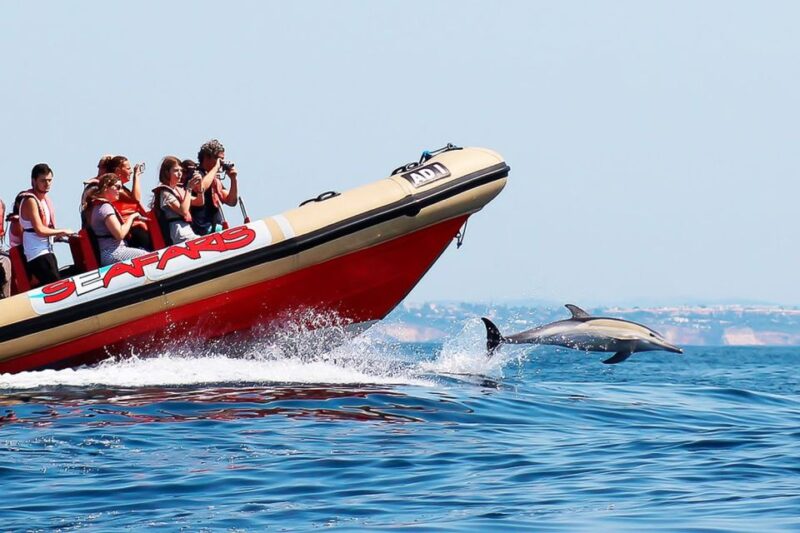 Lagos: Dolphin Watching With Professional Marine Biologists - Participant Guidelines