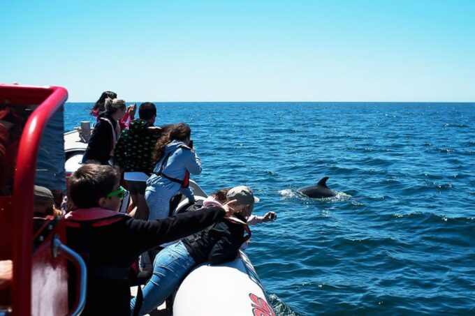 Lagos: Dolphin Watching With Professional Marine Biologists - Booking and Cancellation Policy