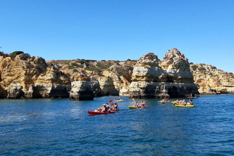 Lagos: Guided Kayak Tour - Key Points
