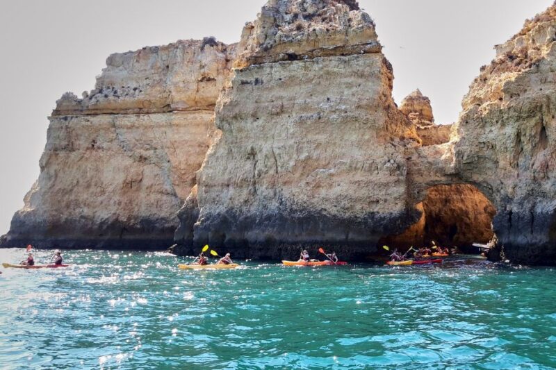 Lagos: Guided Kayak Tour - Meeting Point and Transportation