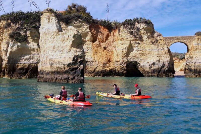 Lagos: Guided Kayak Tour - Safety and Accessibility