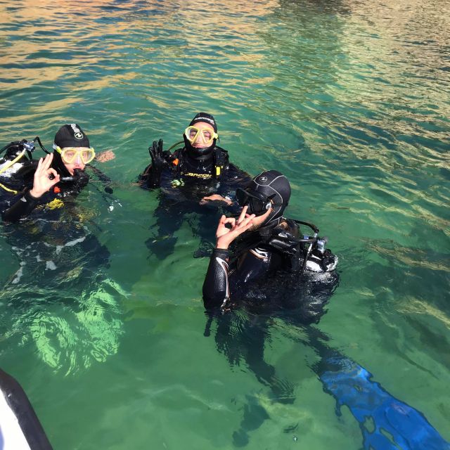 Lagos: Guided Scuba Diving Trip for Beginners - Safety Considerations
