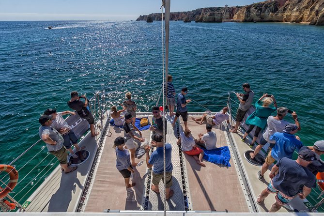 Lagos Half-Day Catamaran Cruise With Lunch - Tour Highlights