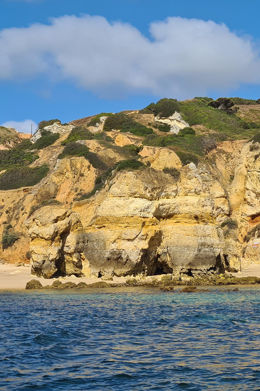 Lagos: Privat Trip up to 11 Pax to Grottos Ponta Da Piedade - Key Points