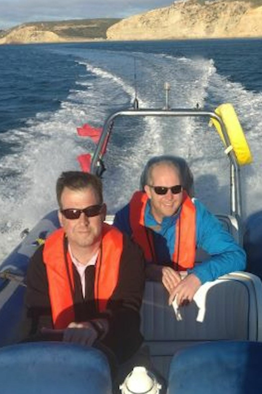 Lagos: Private Powerboat Tour to Ponta Da Piedade and More - Experience Highlights