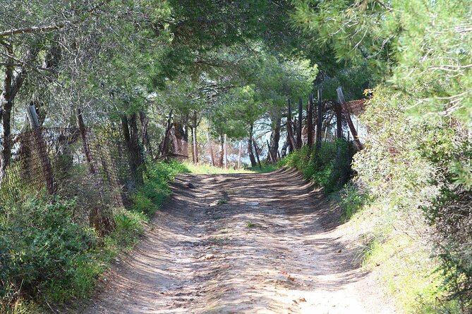 Lagos Small-Group Algarve Nature Tour - Cancellation Policy
