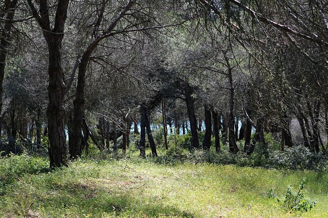 Lagos Small-Group Algarve Nature Tour - Customer Support
