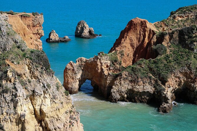 Lagos Small-Group Algarve Nature Tour - Experience Highlights