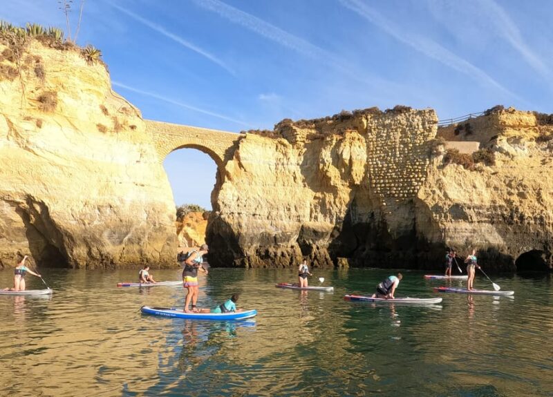 Lagos: Stand Up Paddle Board Tour in Ponta Da Piedade - Key Points