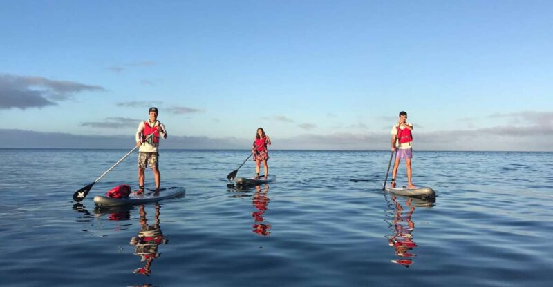 Lagos: Sunrise SUP Tour to the Ponta Da Piedade Caves - Key Points
