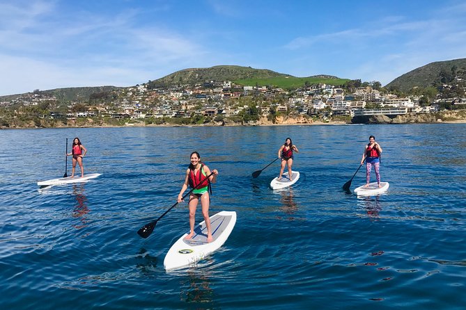 Laguna Beach Kayak Tour With Sea Lion Viewing - Accessibility and Physical Requirements