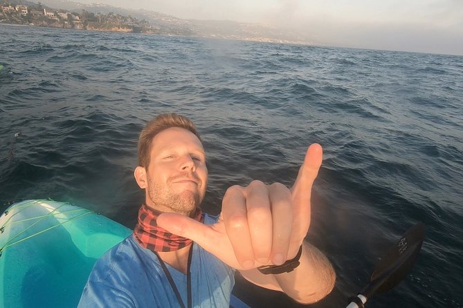 Laguna Beach Open Ocean Kayaking Tour With Sea Lion Sightings - What to Expect on the Kayak Adventure