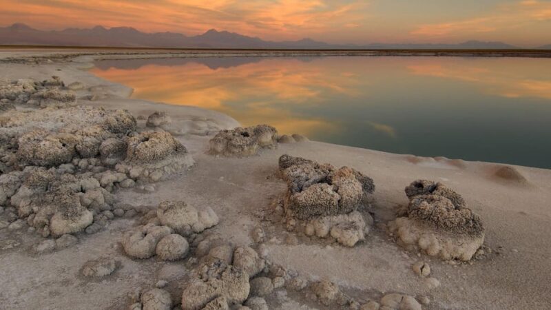 Laguna Cejar Tour - Preparation and Restrictions