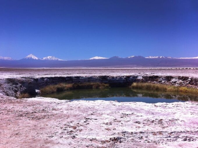 Laguna Cejar Tour - Meeting Point and Transportation