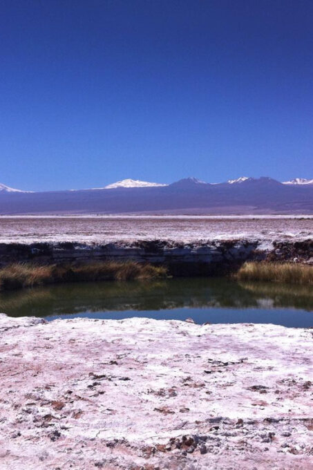 Laguna Cejar Tour - Frequently Asked Questions