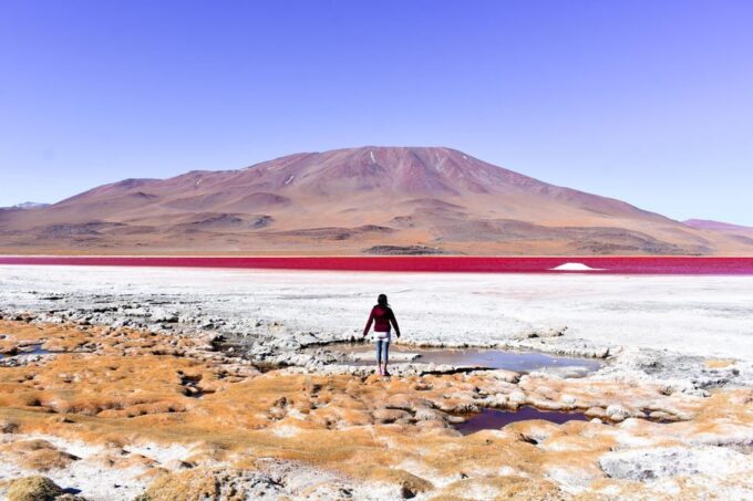 Laguna Colorada and Salar De Uyuni 3-Day Guided Tour - Tour Guide and Language
