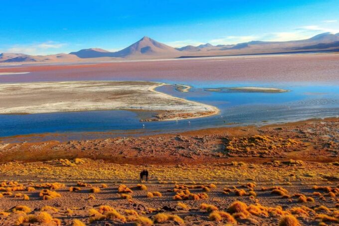 Laguna Colorada and Salar De Uyuni 3-Day Guided Tour - Frequently Asked Questions