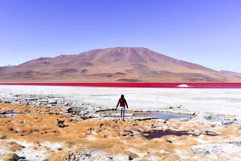 Laguna Colorada and Salar De Uyuni 3-Day Guided Tour - Booking and Meeting Point