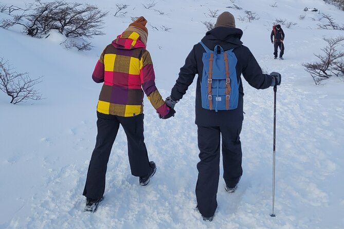 Laguna Esmeralda (Trekking + Lunch at Refuge) - Key Points