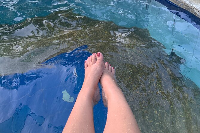 Laguna Hotspring and Tagaytay Tour Review - Tour Overview