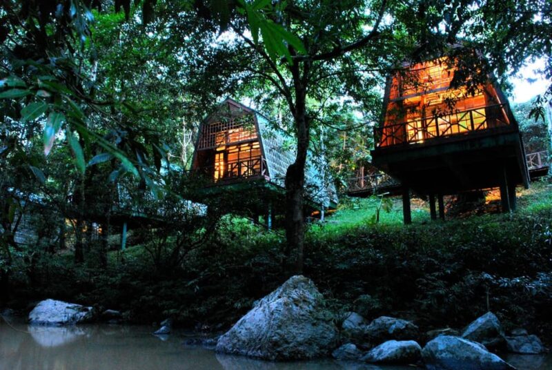 Lahad Datu: 3-Day Tabin Wildlife Safari With Accommodation - Day 3: Departure and Optional Drive