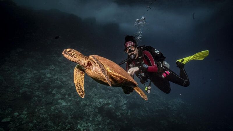Lahaina: Discover Scuba Diving Class - Pricing and Duration