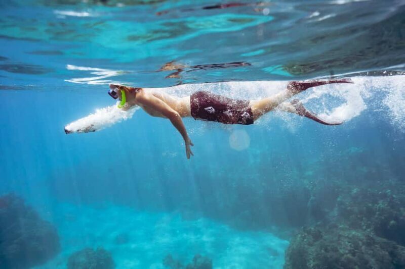 Lahaina: West Maui Snorkeling & Sailing Day Trip with Lunch - Key Points