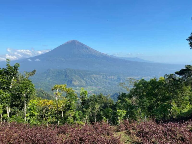 Lahangan Sweet, Tirta Gangga & Virgin Beach - Authentic Experiences and Highlights