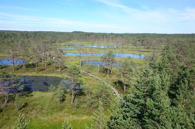 Lahemaa National Park in Estonia - Tour Confirmation and Expectations