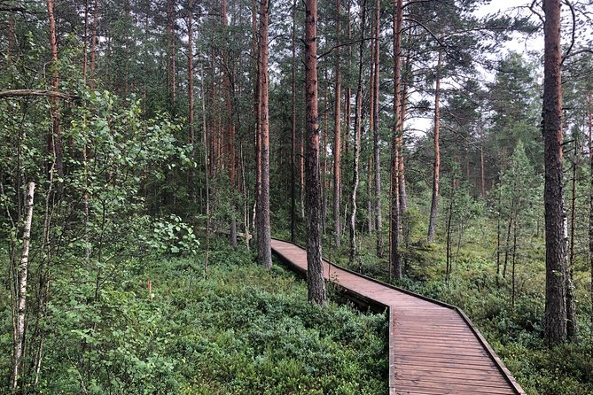 Lahemaa National Park in Estonia - Physical Fitness and Accessibility