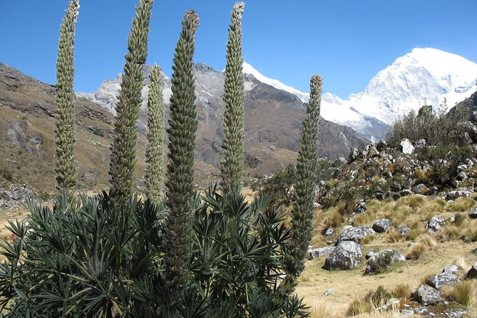 Lake 69 Full-Day Hiking Tour From Huaraz - Accessibility and Restrictions