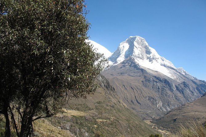 Lake 69 Full-Day Hiking Tour From Huaraz - Customer Feedback and Ratings