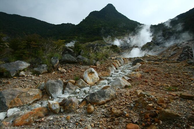Lake Ashi, Hakone, Owakudani, Kowakien With Daily Chauffeur - Key Points