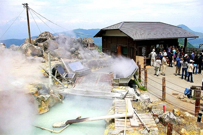 Lake Ashi, Hakone, Owakudani, Kowakien With Daily Chauffeur - Transportation Details