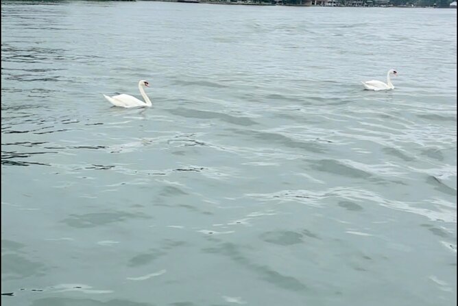Lake Austin Boat Tour 3 Hours Captained up to 12 Guests - Key Points