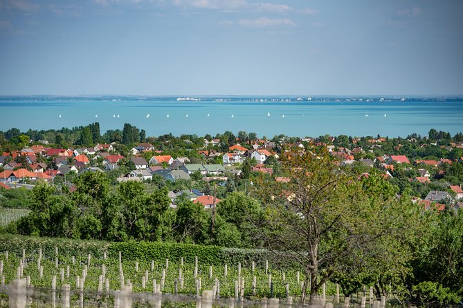 Lake Balaton Full Day Private Wine Tour - Pickup and Meeting Details