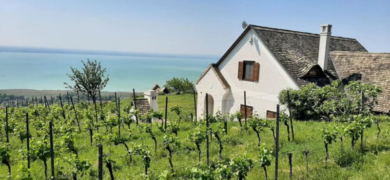 Lake Balaton Full-Day Tour From Budapest - Transportation and Accessibility